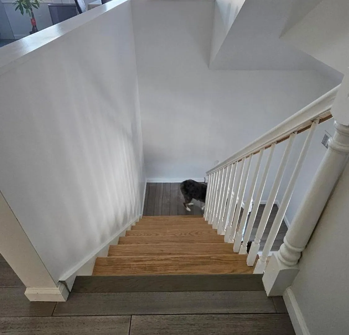 Villa 3 Bedroom Renovated Model House New York